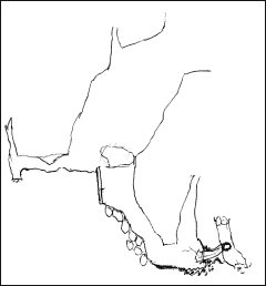 Tuskos