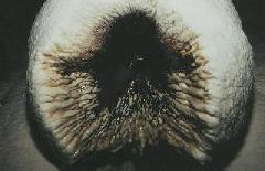 V�zk�p� s�rk�ny