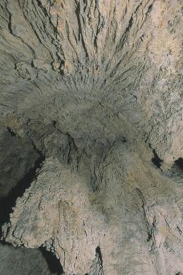 Mesztufacsippkes mennyezet